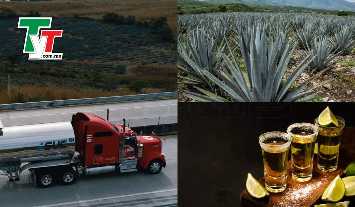 Viva M Xico Camiones As Es Como El Autotransporte Mueve El Tequila