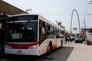 buses sitt
