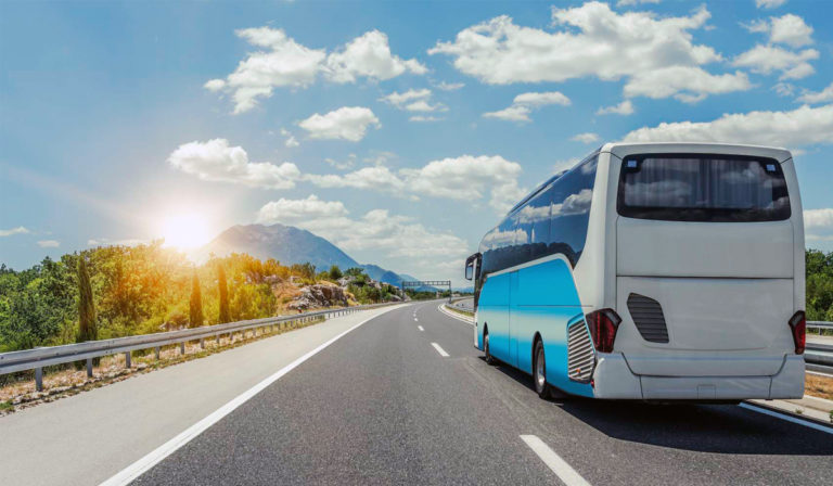 Transporte de pasaje y turismo también ‘mueve’ a la Navidad y Año Nuevo