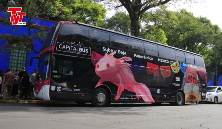 Capital Bus: la empresa que construyó su oportunidad en el transporte turístico