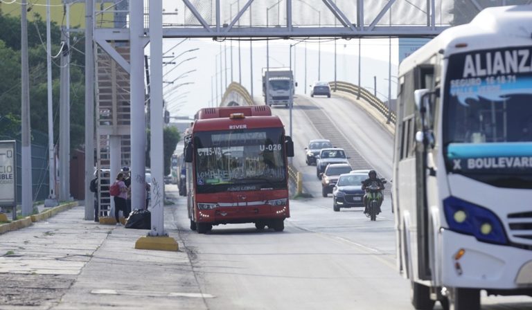 Bus-Laguna