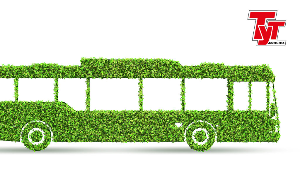 electrificacion-autobus-vehiculos-electricos-movilidad