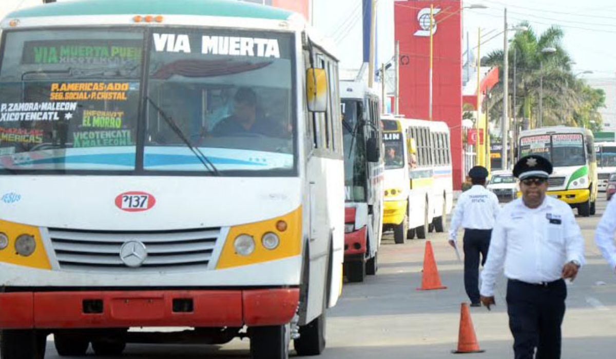 Piden Modernización De Rutas Y Transporte Sostenible En Veracruz Revista Tyt 7479