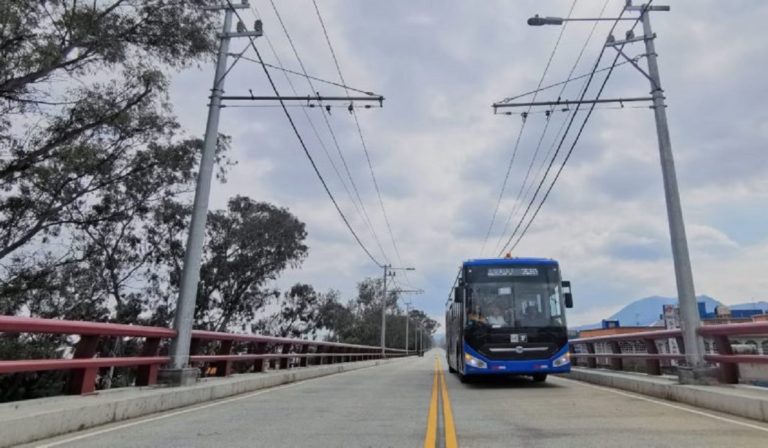 Advierte-especialista-IA-transportistas
