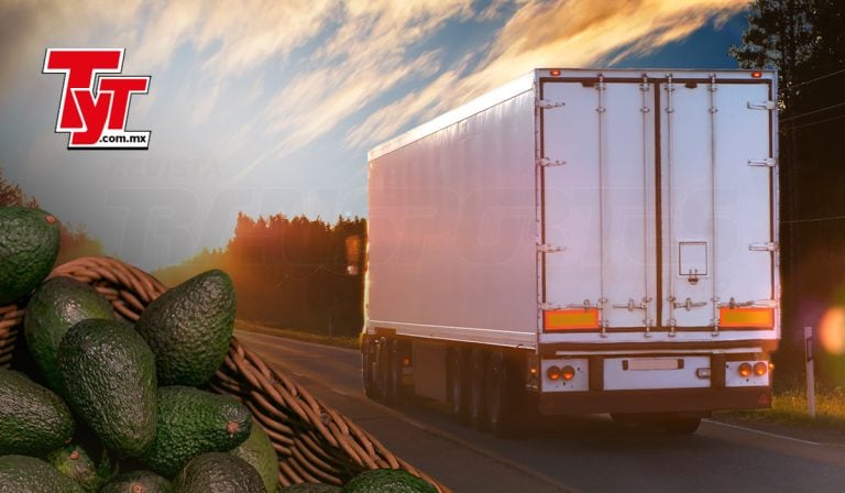 Exportaciones-aguacate