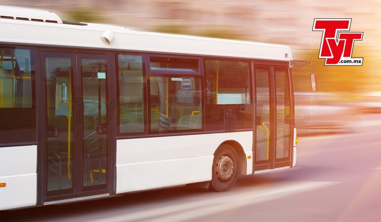 Mercado de buses 2023: Una estrella brilla en el liderazgo del segmento