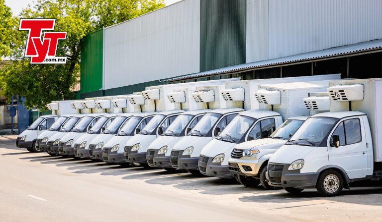 Cuatro puntos críticos del transporte en la cadena fría