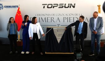 Grand-Top-Sun-planta-Gto