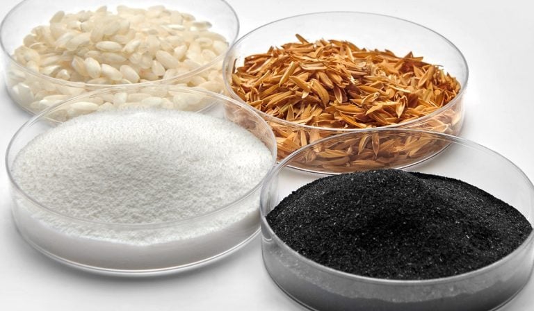 Cascara-de-arroz-Continental
