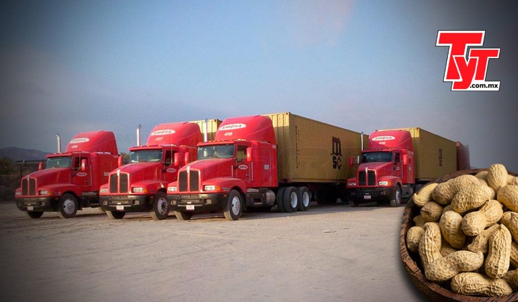 autotransportes Moctezuma de occidente