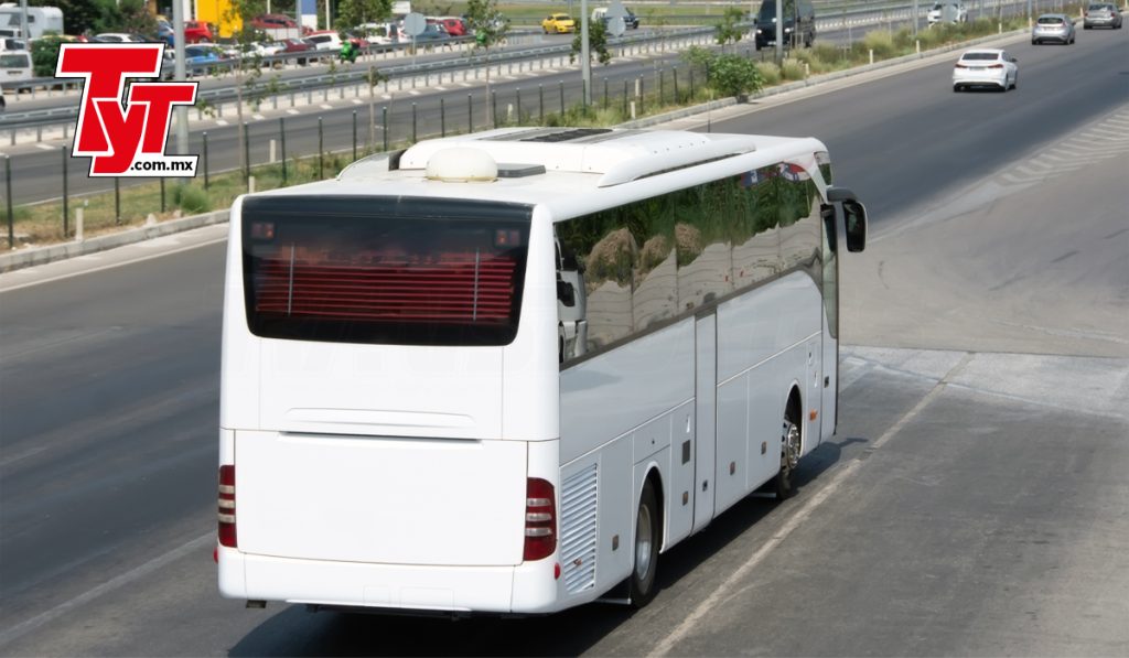 ¿Cómo se comportó el mercado de autobuses en el primer semestre del año?