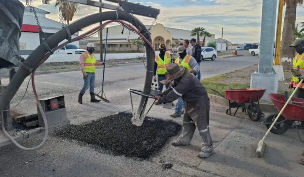 Bacheo-Chihuahua