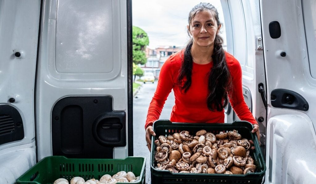 Geotab-cadena-de-frio