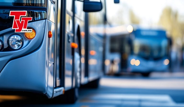 Mercado de autobuses hila cinco meses con cifras a la baja