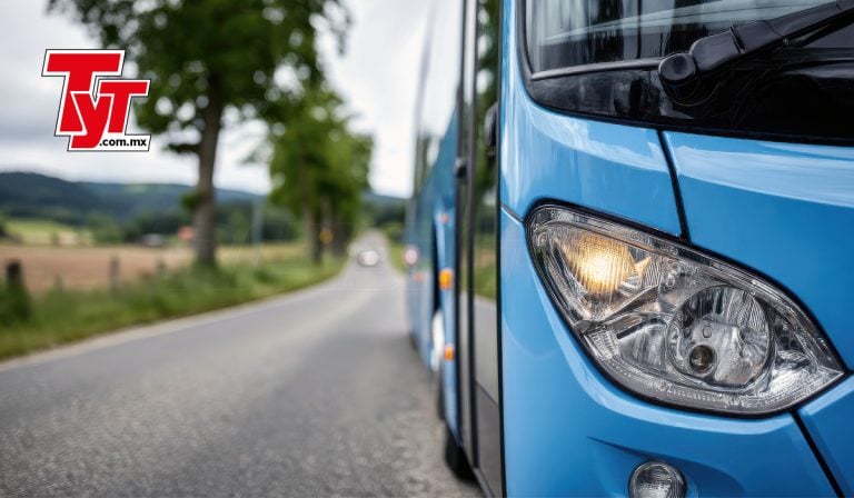 Así se dividió el mercado de autobuses en 2025
