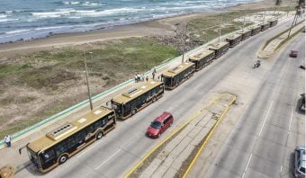 Transporte-Publico-Veracruz