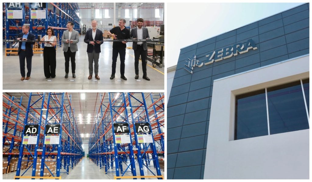 Zebra-planta-Querétaro