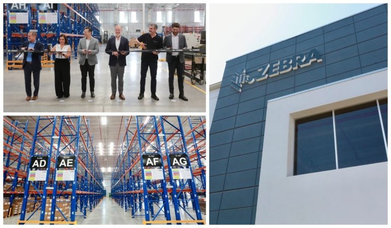 Zebra-planta-Querétaro