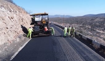bacheo