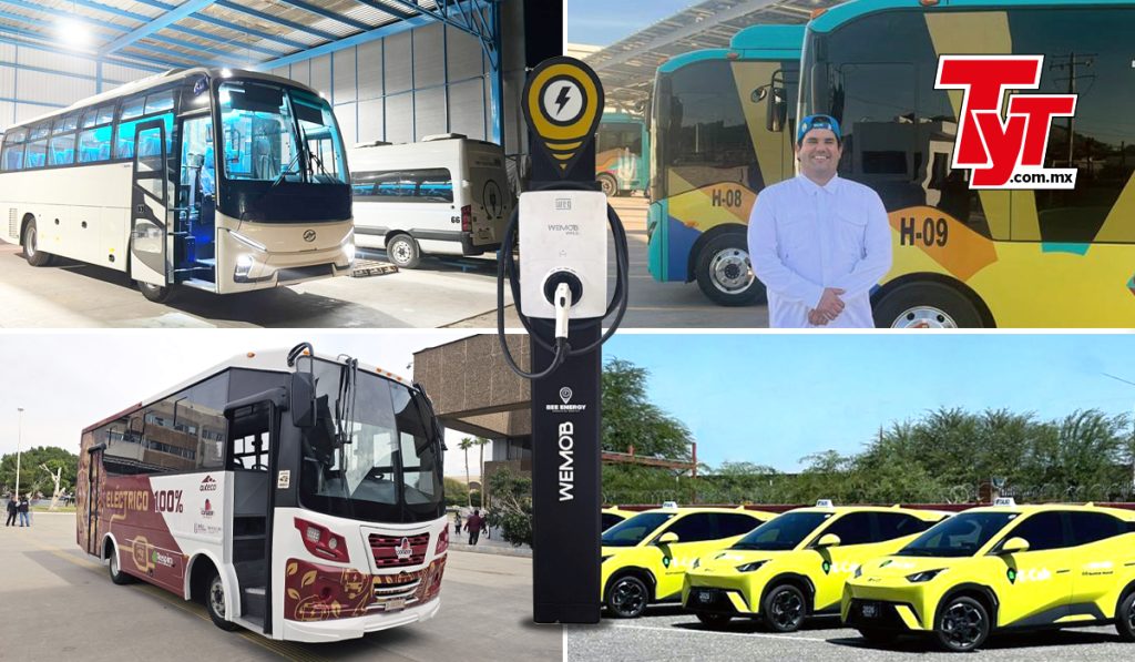 De una van convertida a un ecosistema eléctrico: la apuesta de TPM por reinventar la electromovilidad