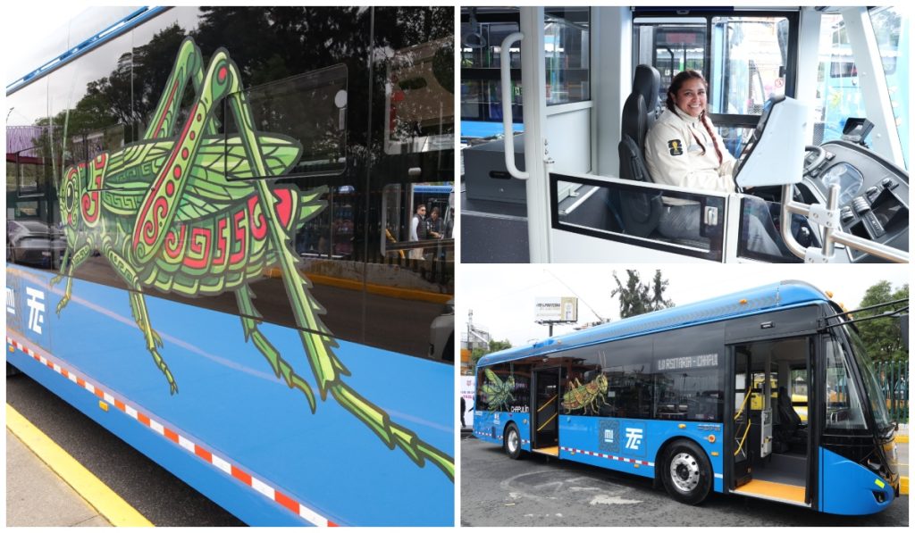 Trolebus-Ruta-ElChapulin